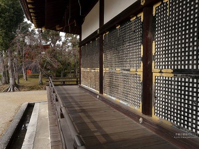 �m�a��20�y�_�E�����[�h����ꍇ�͉E�̉摜�T�C�Y���N���b�N���Ă��������z